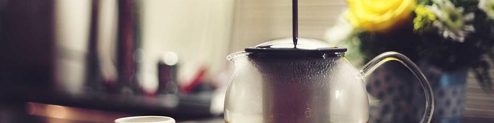 中医养生调理特惠