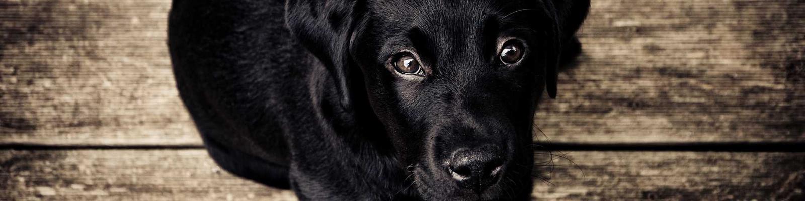 家庭医生签约服务